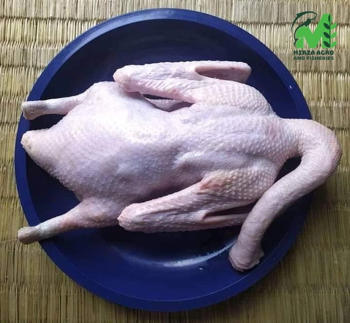 দেশি হাঁস ( Duck)