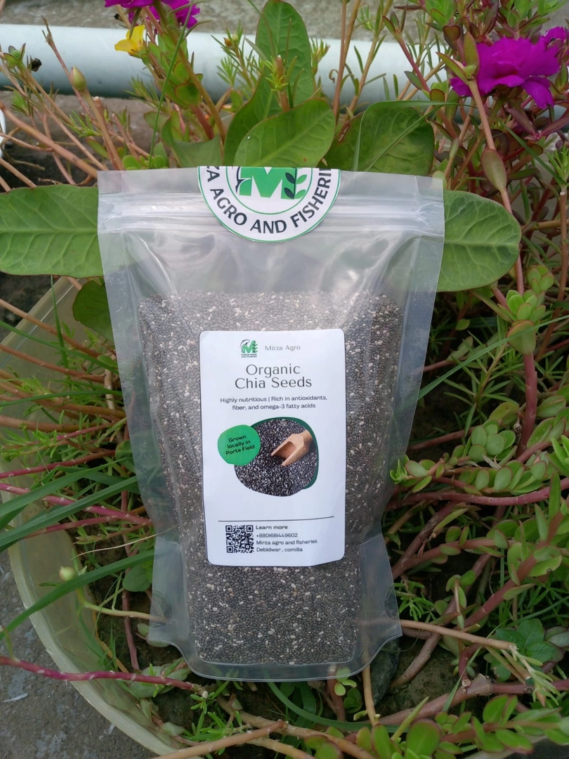 চিয়া বীজ (Chia Seed )